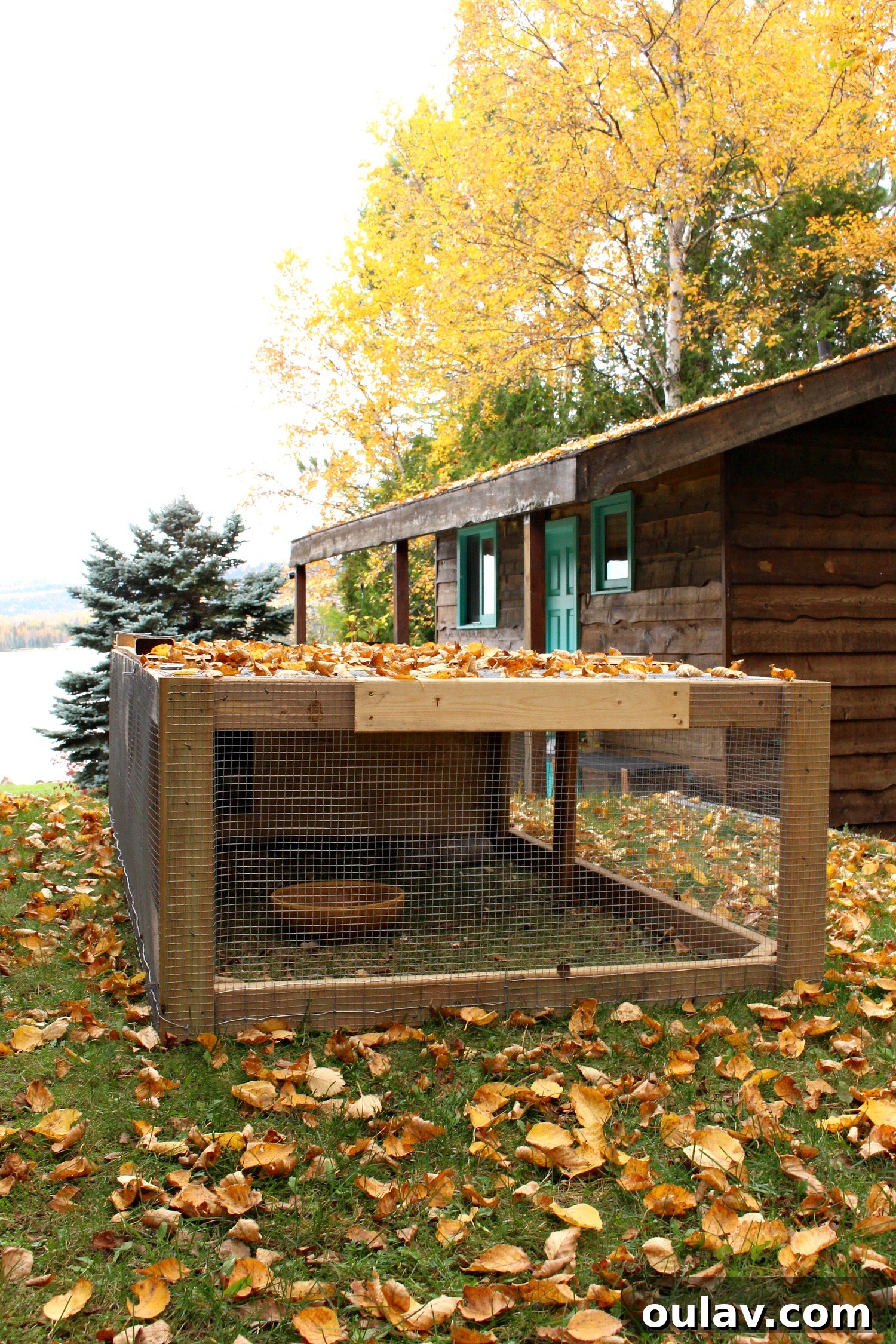 Chicken Hospital Coop