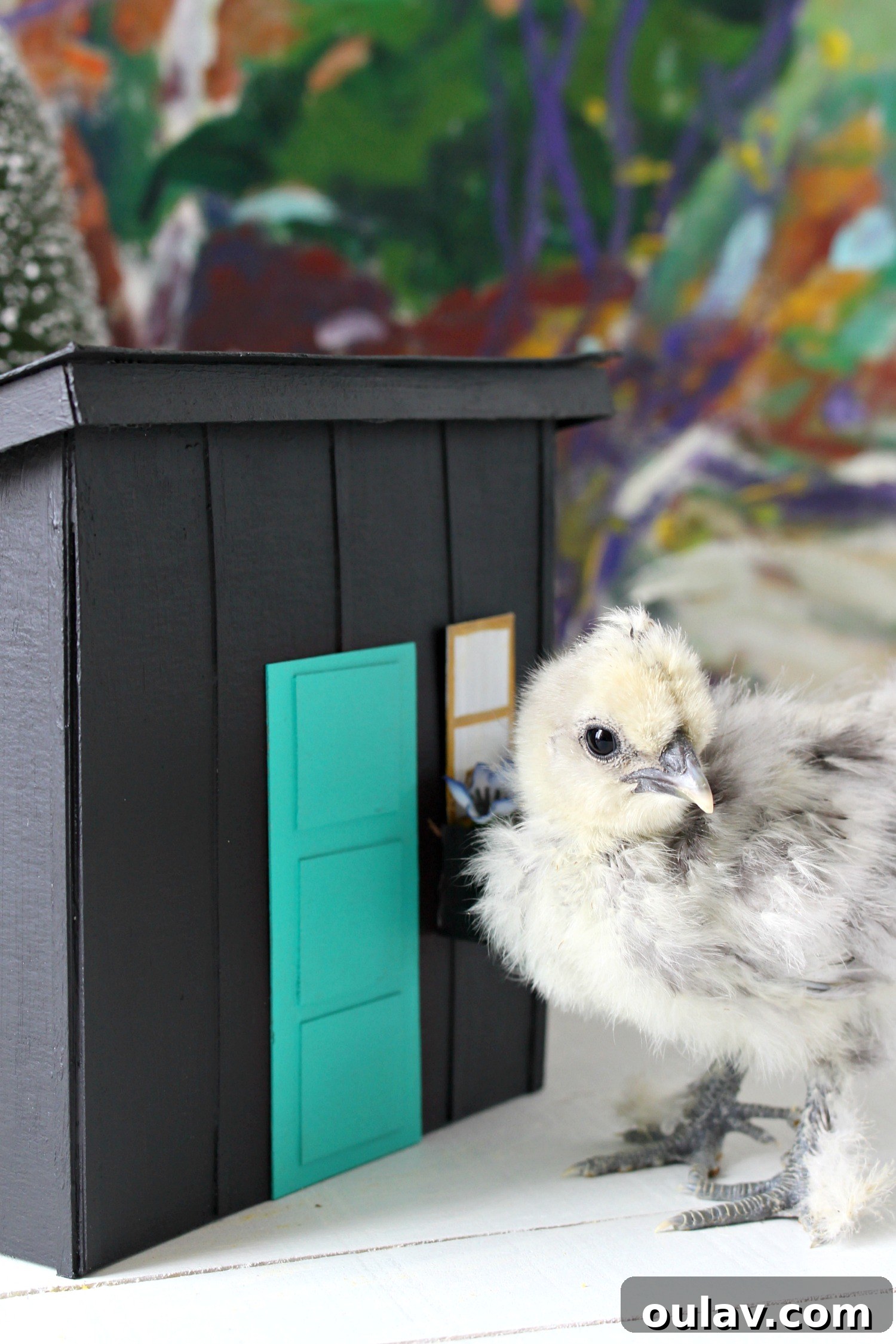Two Chicks Walking