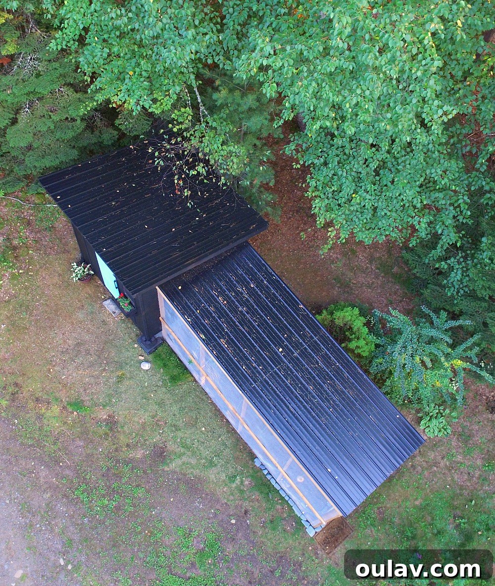DIY Modern Chicken Coop