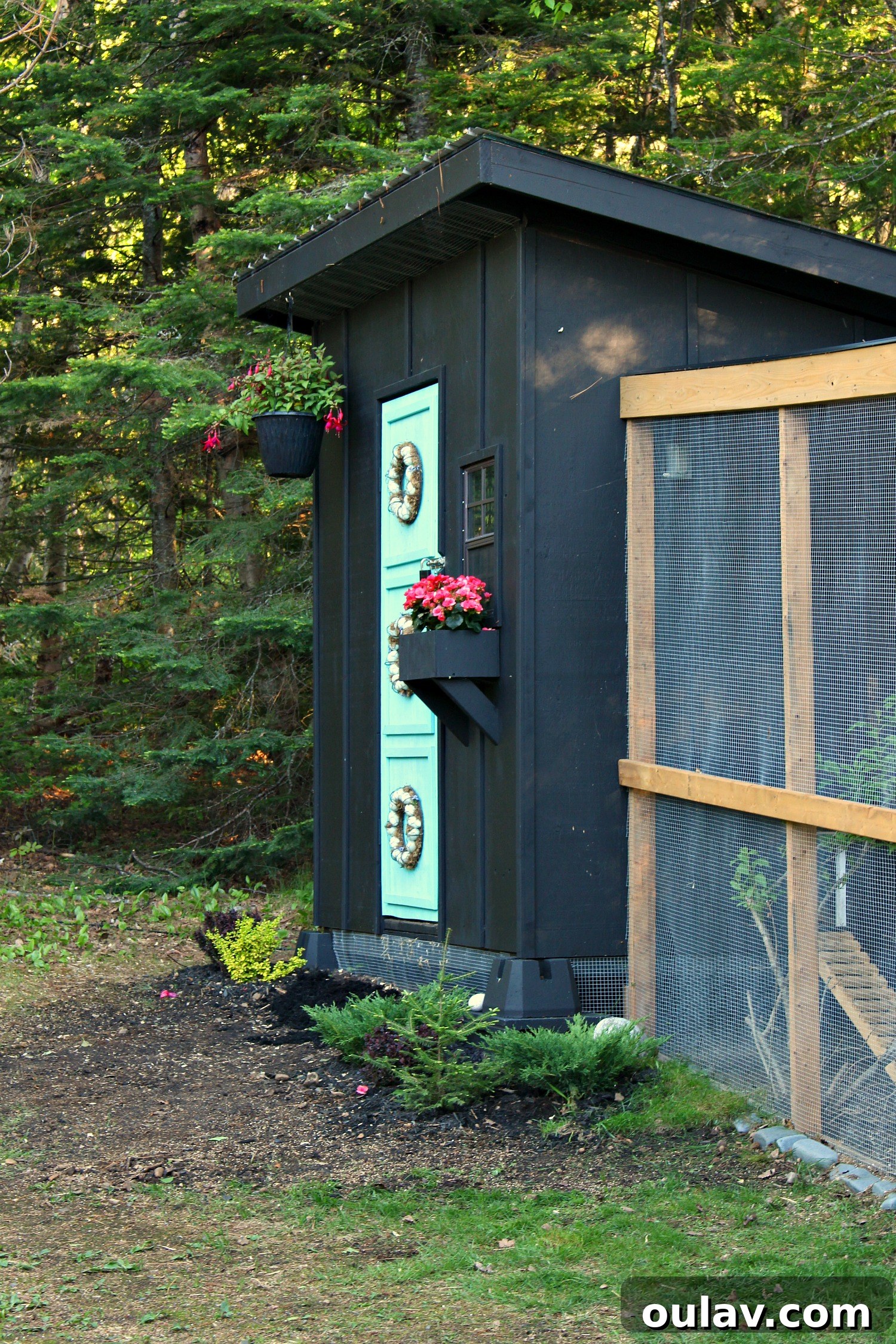 A Summer Dream Inside Our Lake House Oasis 7 Colorful Flowers Adorning the Chicken Coop Entrance