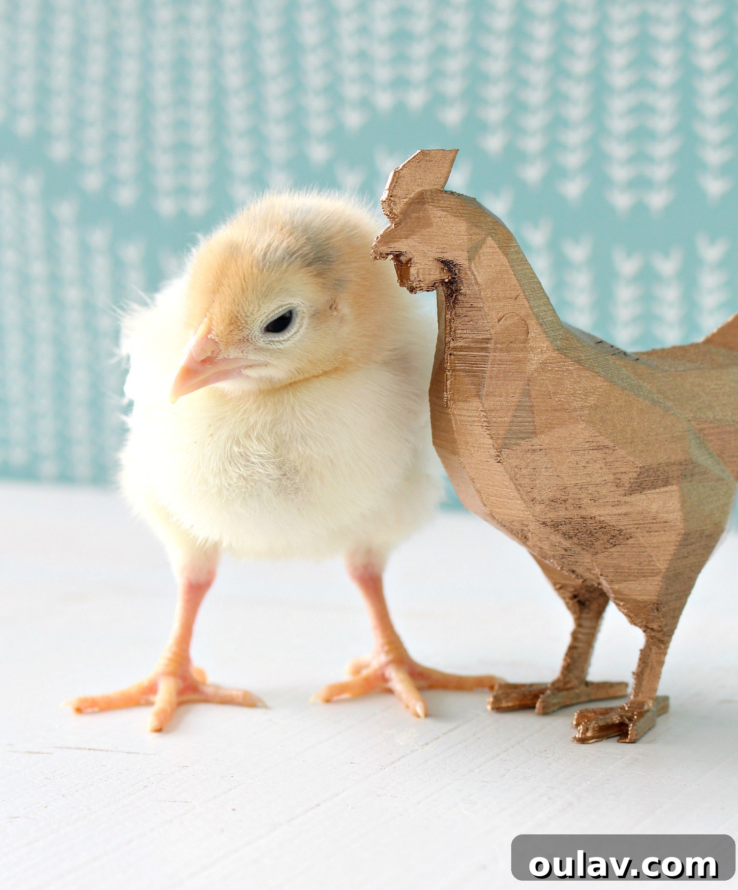 The Latest Baby Chick Portraits 31 Unique 3D Printed Chicken