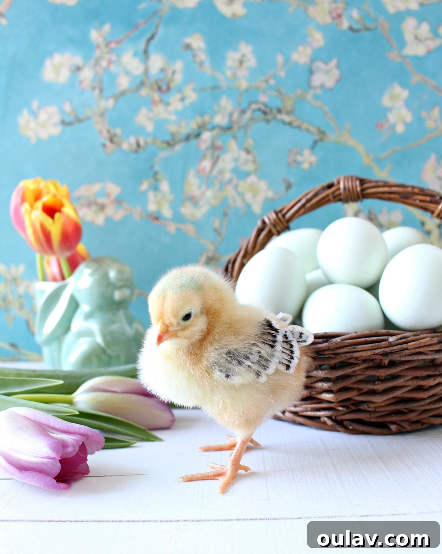 Diverse baby chicks exploring their brooder with curiosity